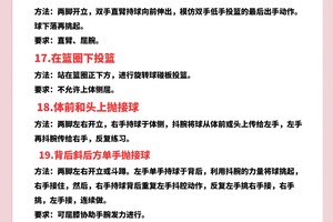  为什么小前锋需要特别的体能训练：全面解析与策略推荐